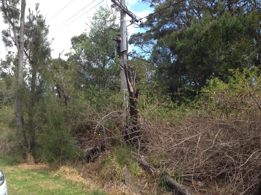 Photos of an asset impeded by the growth of vegetation