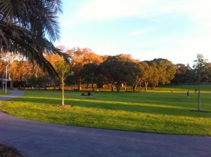 The park near Central station