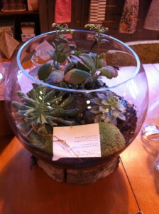 Too cute... my terrarium has died :(