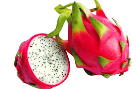 Dragon fruit or pitaya