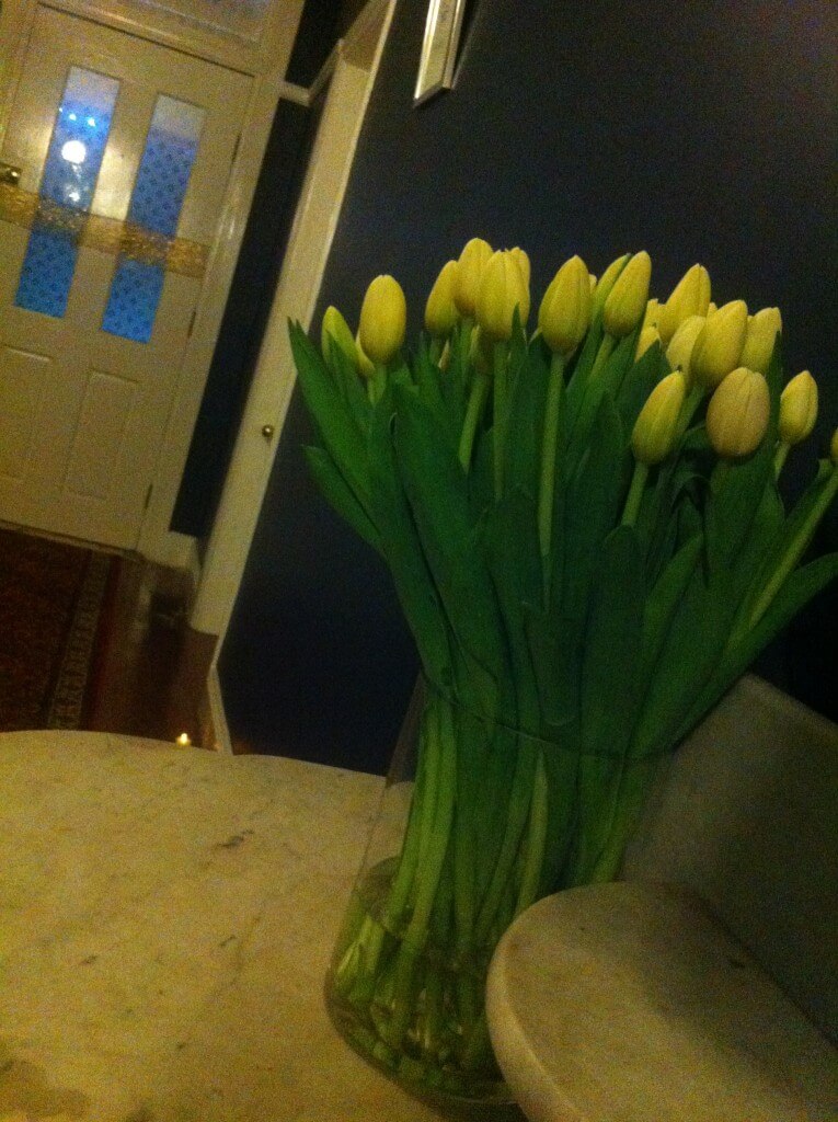 Some recent TV show inspired the vase of tulips (50!) and you see the gold on the door - it had a big gold bow on it!