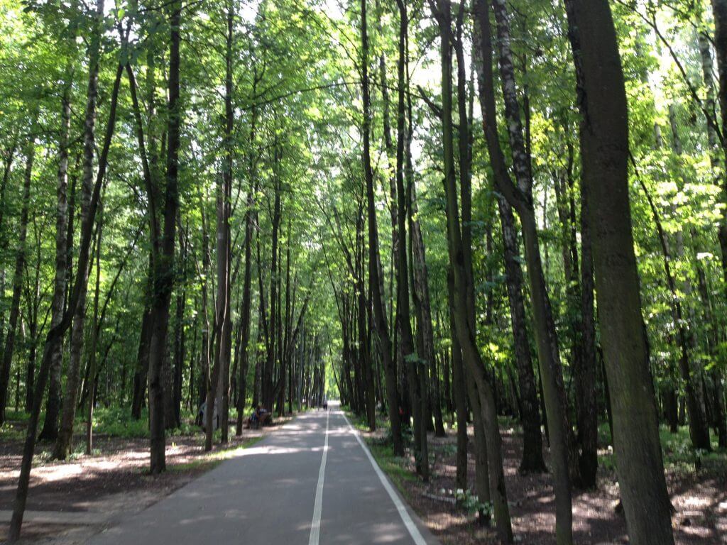 A beautiful wooded area... though this road did not lead to where we'd hoped